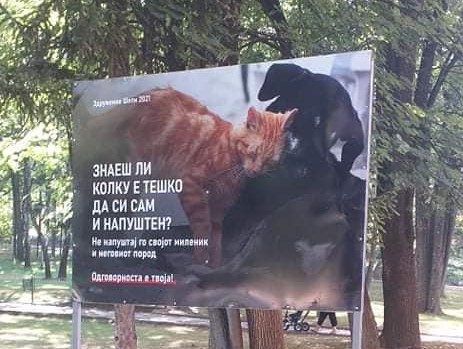 Заеднички активности за намалување на бездомните животни помеѓу Општина Кавадарци и Здружението на граѓани за заштита на животните „Шепи 2021“
